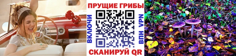 Псилоцибиновые грибы Psilocybine cubensis  Купить где  Жуковка 